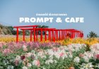 สวนดอกไม้ Prompt & cafe หรือ ร้านพร้อมคาเฟ่ พบพระ