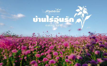 สวนดอกไม้พบพระ บ้านไร่อุ่นรัก Baanrai Aoon Rak