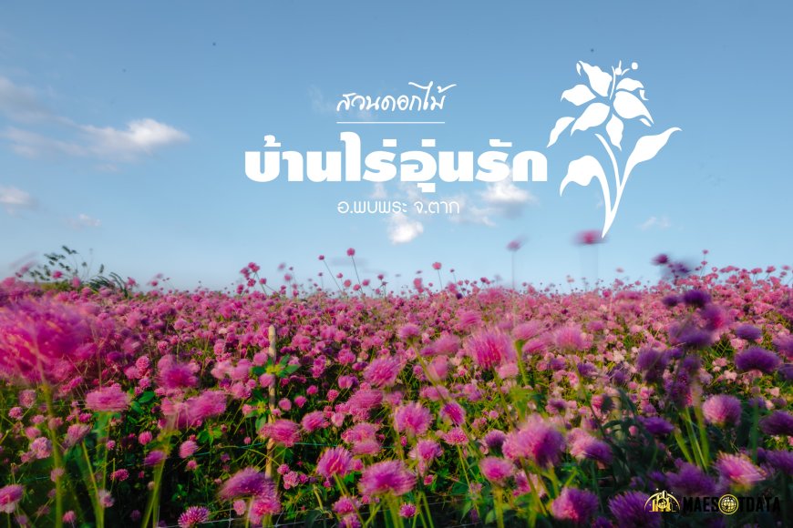 สวนดอกไม้พบพระ บ้านไร่อุ่นรัก Baanrai Aoon Rak