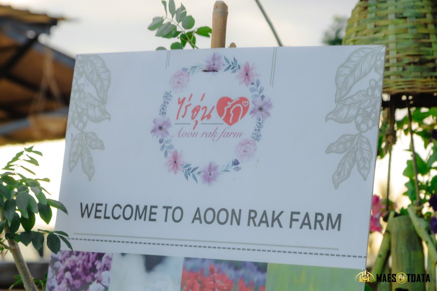 สวนดอกไม้พบพระ สวนดอกไม้ บ้านไร่อุ่นรัก Baanrai Aoon Rak  อ.พบพระ จ.ตาก