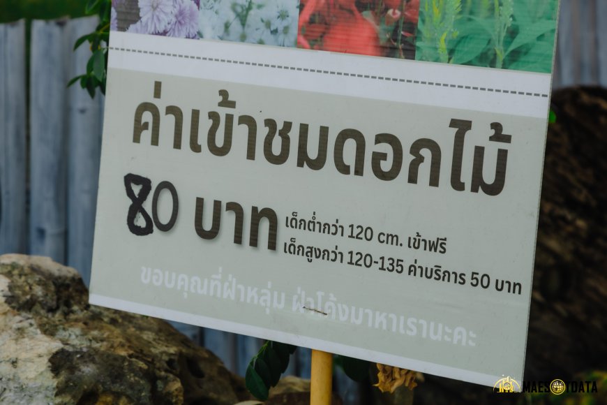 สวนดอกไม้พบพระ สวนดอกไม้ บ้านไร่อุ่นรัก Baanrai Aoon Rak  อ.พบพระ จ.ตาก
