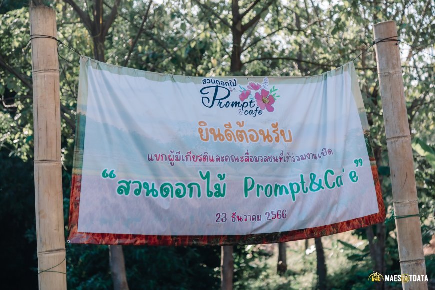 เปิดแล้ว! Prompt & Cafe สวนดอกไม้ พร้อม & คาเฟ่ กม.42 ถนนสายดอกไม้ อ.พบพระ จ.ตาก