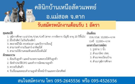 คลินิกบ้านเหนือสัตวแพทย์ รับสมัครพนักงานต้องรับ 1 อัตรา