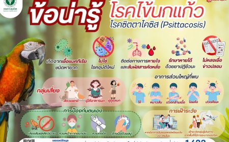 โปรดระวัง โรคไข้นกแก้ว