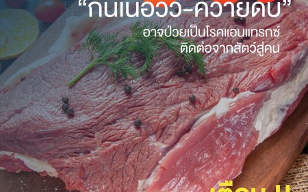 ระวัง "กินเนื้อวัว-ควายดิบ" อาจป่วยเป็นโรคแอนแทรกซ์ ติดต่อจากสัตว์สู่คน