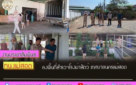 เทศบาลนครแม่สอด ลงพื้นที่สำรวจโรงฆ่าสัตว์ เทศบาลนครแม่สอด