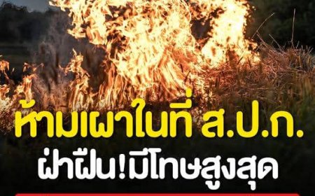 ส.ป.ก.ตาก..ขอให้เกษตรกรงดการเผาในพื้นที่ ส.ป.ก. ระหว่าง 1 มี.ค. - 30 เม.ย.67