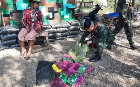จับแรงงานต่างด้าว ขนเต่าปูลู เป็นสัตว์ป่าคุ้มครอง จำหน่ายฝั่งไทย