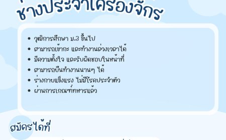 บริษัทบีเอ็นซีแม่สอด จำกัด รับสมัคร ช่างประจำเครื่องจักร