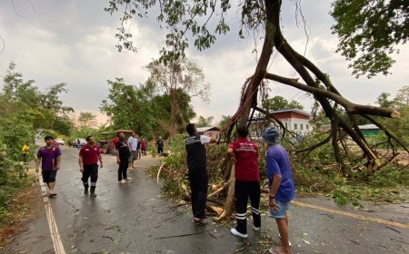 เกิดวาตภัยพายุฝนฟ้าคะนองและลมกระโชกแรง ในหลายพื้นที่ ของจังหวัดตาก