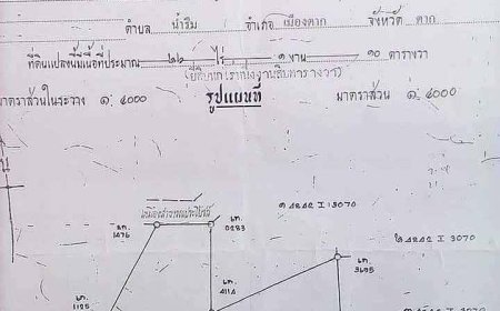 ประกาศขายที่ดินหมู่ 7 ตำบลน้ำรึม อ.เมืองตาก จ.ตาก
