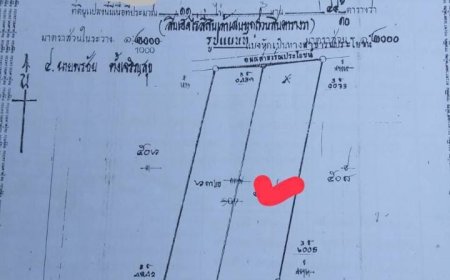 ขายที่ดิน แปลงใหญ่ หนองกิ่งฟ้า ตำบล ท่าสายลวด อำเภอ แม่สอด จังหวัด ตาก