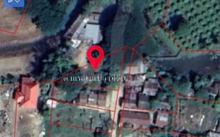 ขายที่ดิน 1 งาน ใกล้โลตัสใหญ่