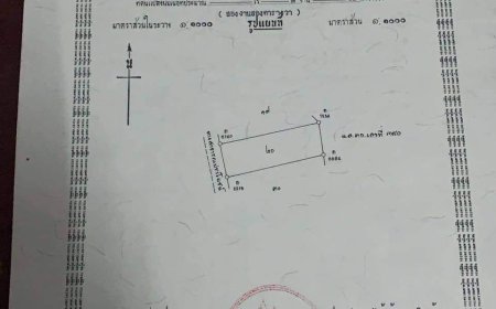 ขายด่วนที่ดินบ้านวังตะเคียน