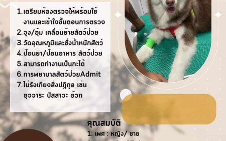 โรงพยาบาลสัตว์นครแม่สอด รับสมัครผู้ช่วยสัตว์แพทย์ 4 ตำแหน่ง