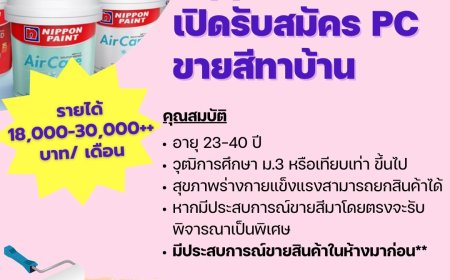 เมกาโฮมแม่สอด รับสมัครด่วน PC ขายสีทาบ้านแบรนด์ Nippon Paint