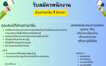 บริษัท ดีแอลดี อิเล็กโทรนิกส์ จำกัด รับสมัคร ล่ามภาษาจีน 1 อัตตรา