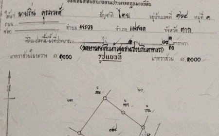 ขายที่ ในแม่ละเมา 2งานกว่า