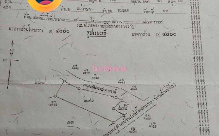 ขายที่ดินยกแปลง 7 ไร่ 1งาน