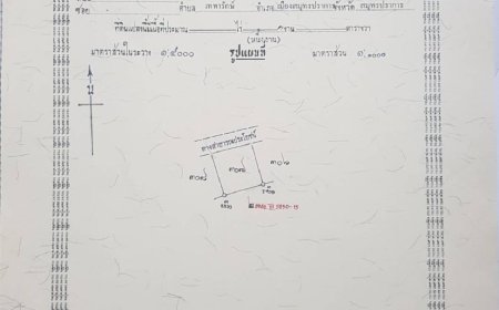 ขายที่ดิน 2 แปลง