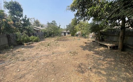 ขายที่ดินด่วน ที่สวย ติดถนน ในชุมชน(แม่กุเหนือ)