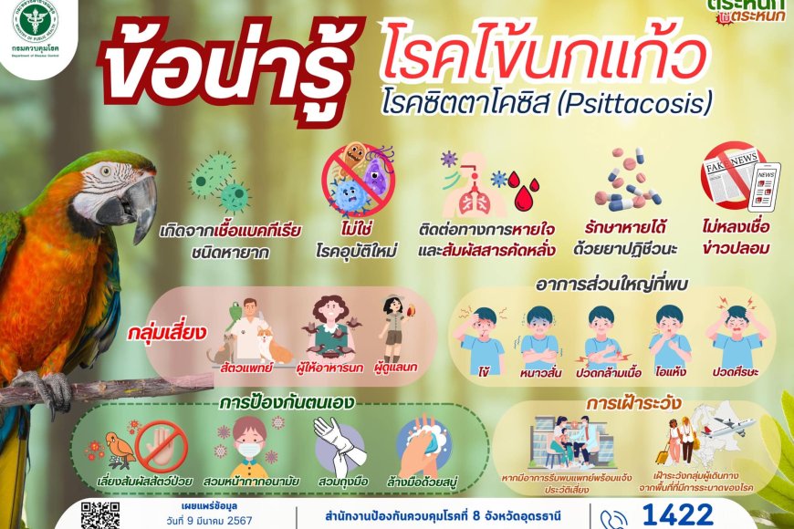 โปรดระวัง โรคไข้นกแก้ว