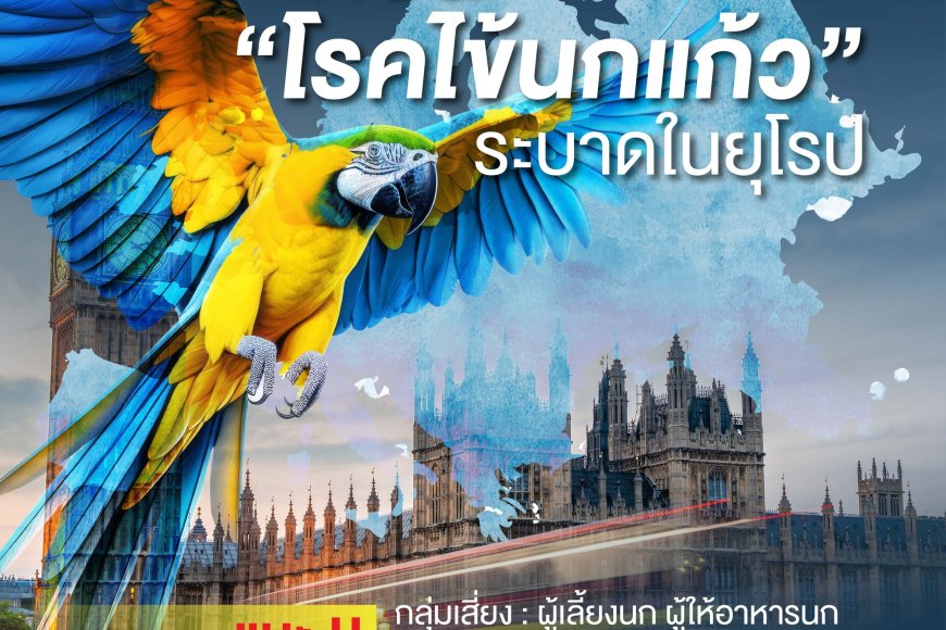 เตือน “โรคไข้นกแก้ว” ระบาดในยุโรป