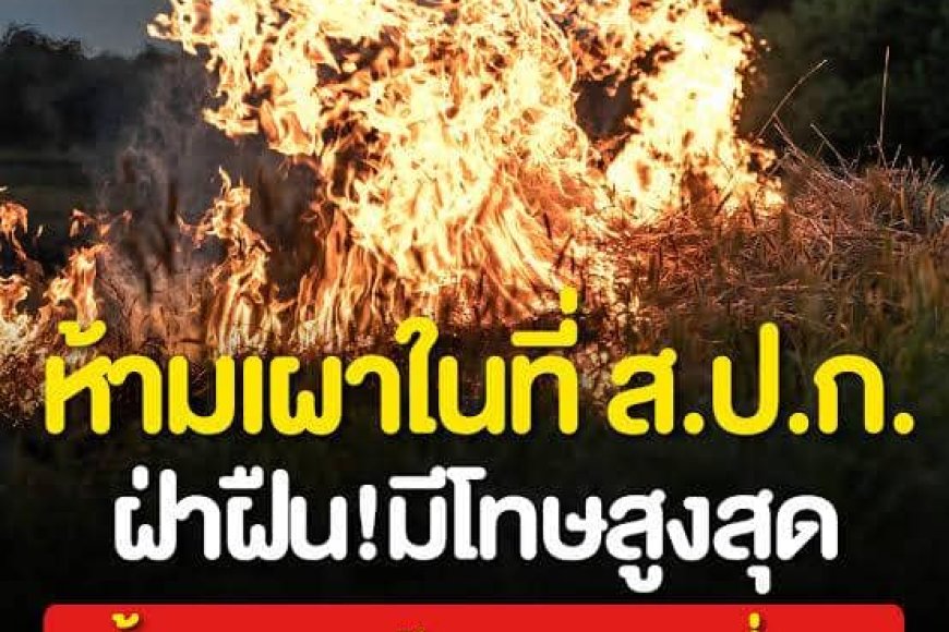 ส.ป.ก.ตาก..ขอให้เกษตรกรงดการเผาในพื้นที่ ส.ป.ก. ระหว่าง 1 มี.ค. - 30 เม.ย.67