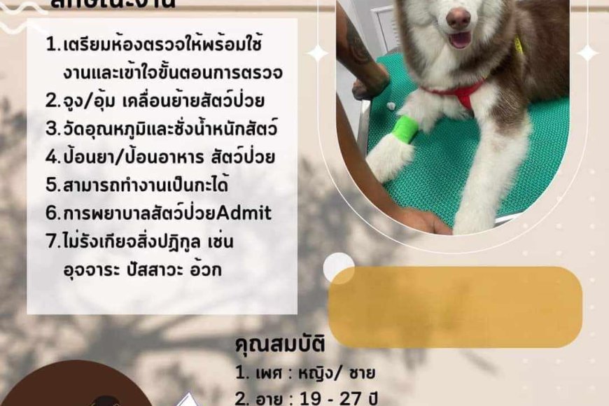 โรงพยาบาลสัตว์นครแม่สอด รับสมัครผู้ช่วยสัตว์แพทย์ 4 ตำแหน่ง