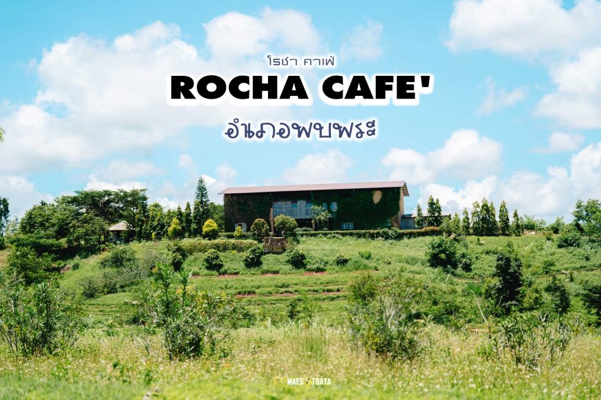 โรชา คาเฟ่  ROCHA CAFE' การแฟและอาหาร อำเภอพบพระ จังหวัดตาก