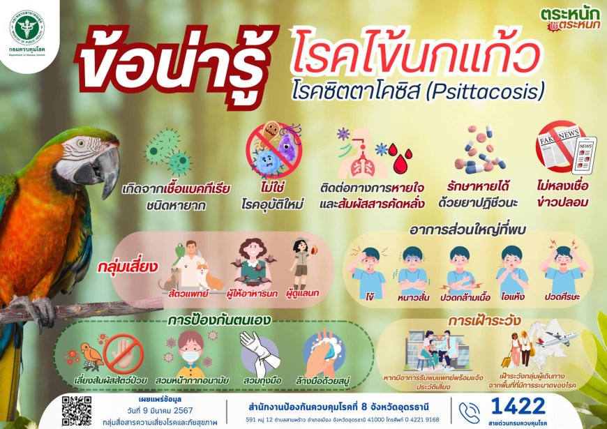 โปรดระวัง โรคไข้นกแก้ว