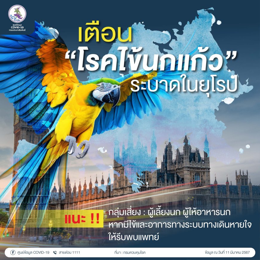 เตือน “โรคไข้นกแก้ว” ระบาดในยุโรป