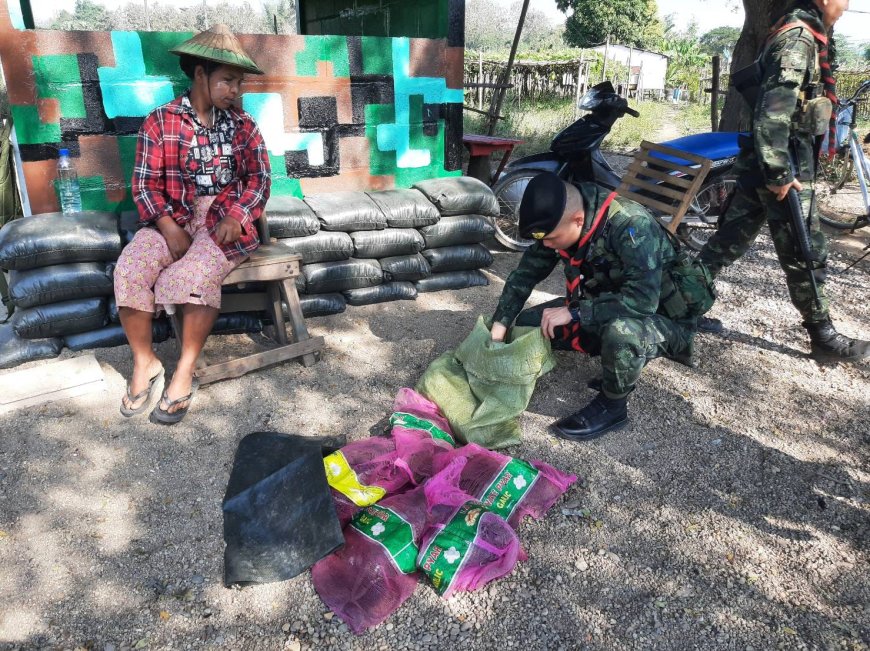 จับแรงงานต่างด้าว ขนเต่าปูลู เป็นสัตว์ป่าคุ้มครอง จำหน่ายฝั่งไทย