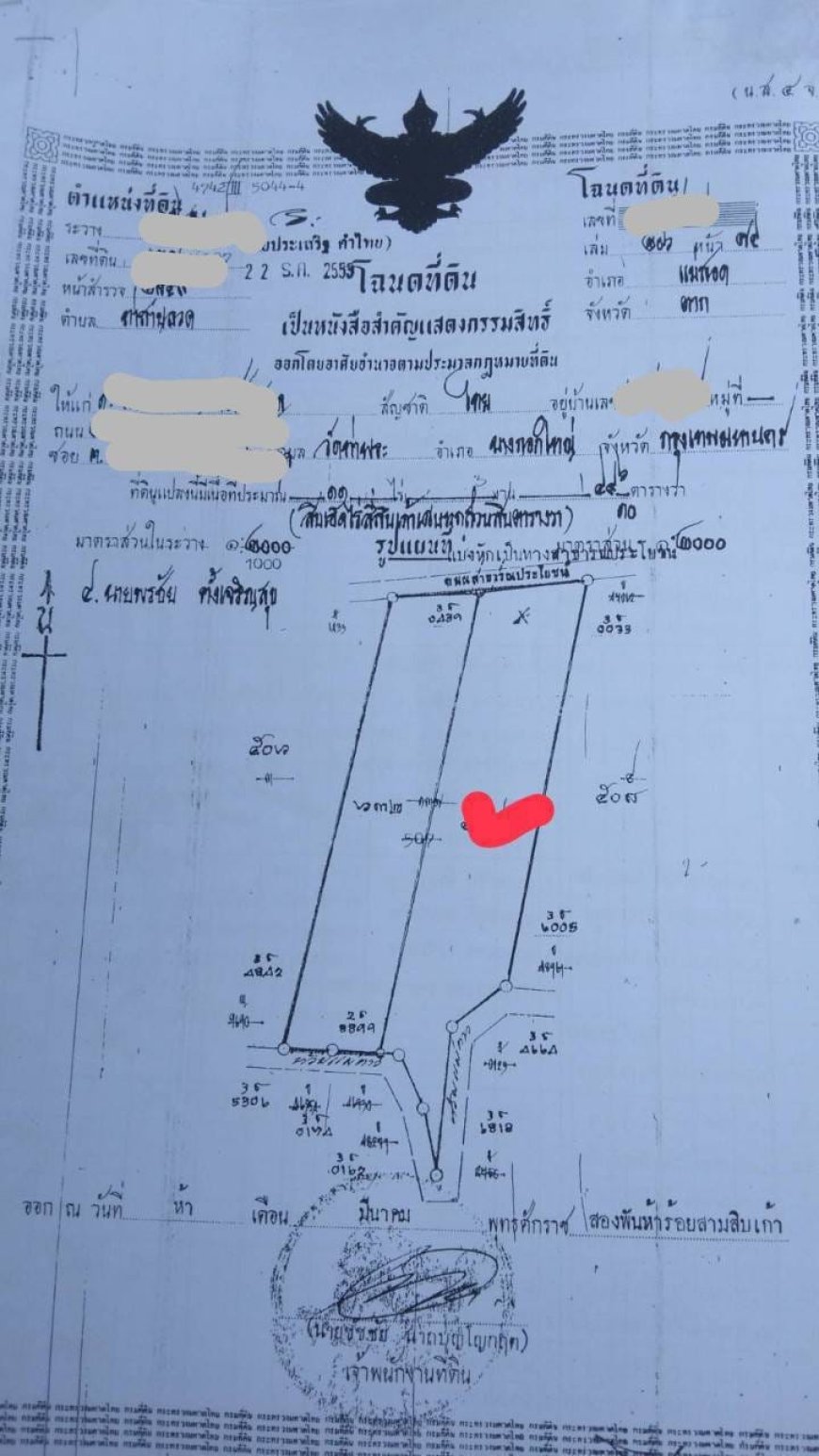 ขายที่ดิน แปลงใหญ่ หนองกิ่งฟ้า ตำบล ท่าสายลวด อำเภอ แม่สอด จังหวัด ตาก 