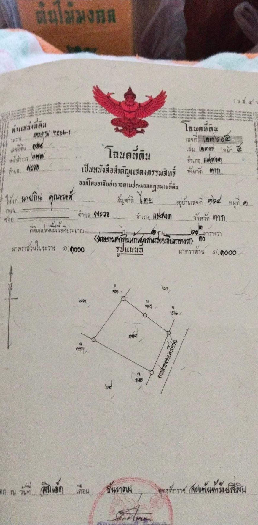 ขายที่ ในแม่ละเมา 2งานกว่า