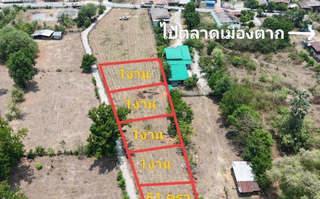 ด่วน!!ขายที่ดินเปล่าสวยๆ 5 แปลงติดกัน