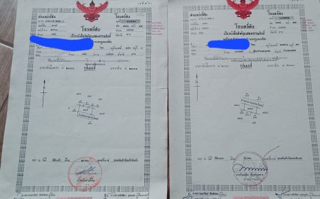 ขายที่ดินเปล่าสองแปลง