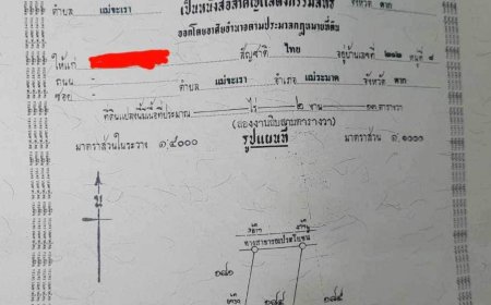 ขายที่ดินบ้านห้วยบง