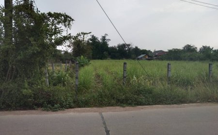 ขายที่ดิน ตำบล แม่ตาว หมู่ ที่ 4 อำเภอ แม่สอด จังหวัด ตาก