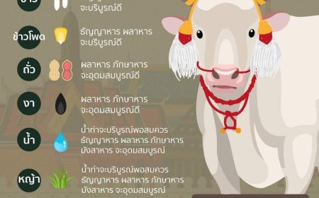 พระราชพิธีพืชมงคลจรดพระนังคัลแรกนาขวัญ ปี พ.ศ. 2567