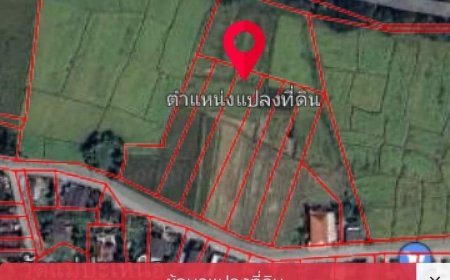 ขายที่ดินเปล่า