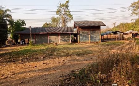 ขายที่ดิน