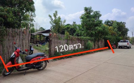 ขายที่สร้างบ้าน ทำห้องเช่า
