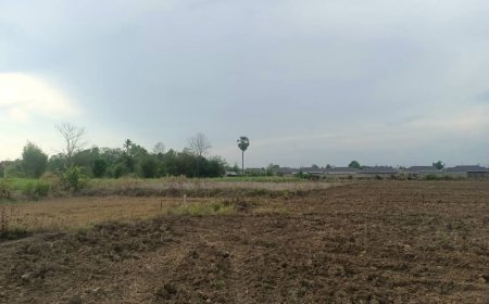ประกาศขายที่ดินยกผืนทำเลท่าสายลวด