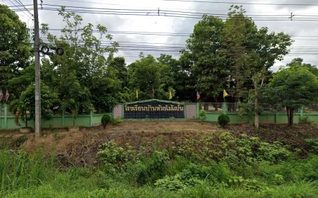 โรงเรียนบ้านห้วยไม้แป้น ตำบลมหาวัน อำเภอแม่สอด