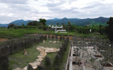 Sky walk เคียงดอย สกายวอล์คแม่สอด The natural garden