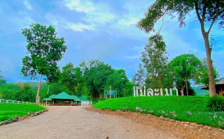 สวนป่าแม่ละเมา