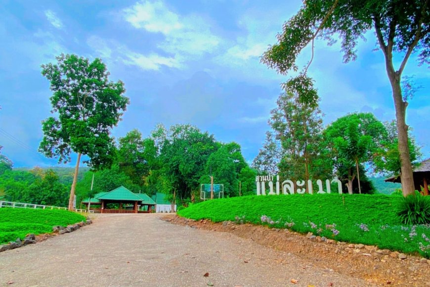 สวนป่าแม่ละเมา
