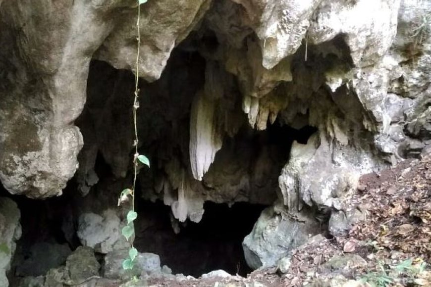 วนอุทยานถ้ำตะโคะบิ๊