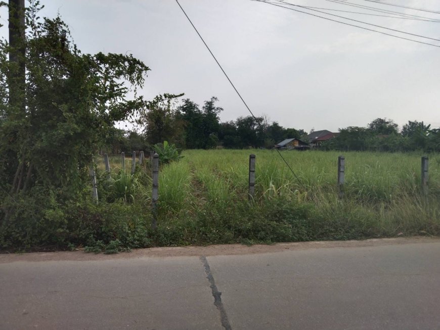 ขายที่ดิน ตำบล แม่ตาว หมู่ ที่ 4 อำเภอ แม่สอด จังหวัด ตาก